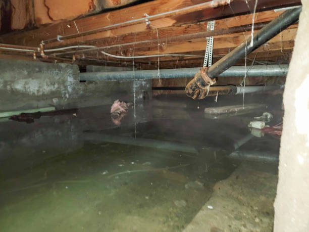 Best Water damage restoration process  in Charleston, SC