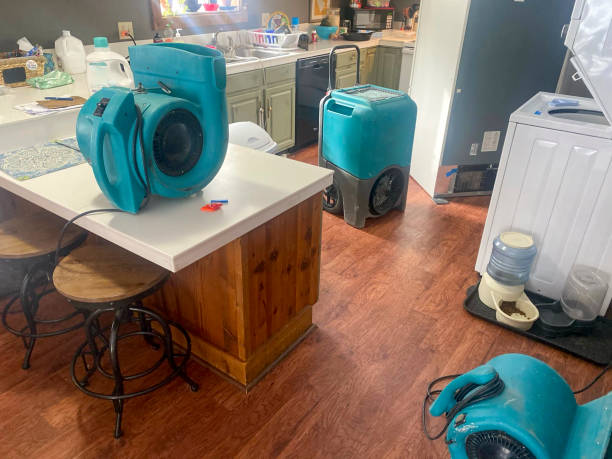 Best Local water damage restoration  in Charleston, SC