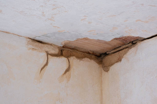 Best Water damage cleanup near me  in Charleston, SC