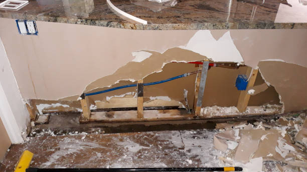 Best Flooded house restoration  in Charleston, SC