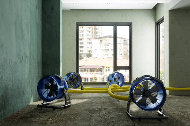 Best Fire Damage Restoration  in Charleston, SC