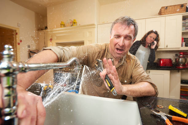 Best Water damage contractors near me  in Charleston, SC